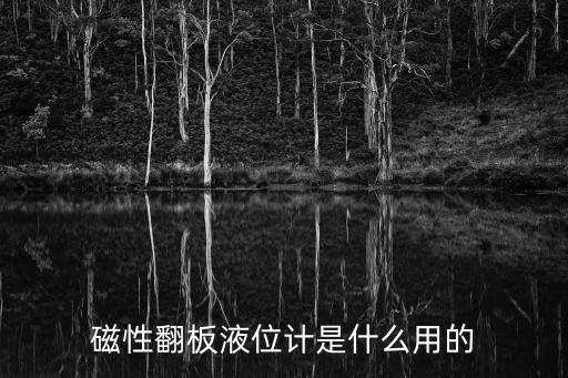 磁性翻板液位計(jì)是什么用的