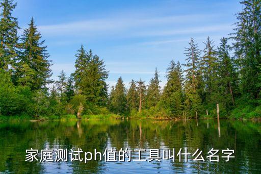 家庭測(cè)試ph值的工具叫什么名字