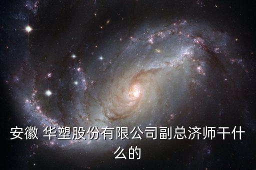 安徽 華塑股份有限公司副總濟(jì)師干什么的