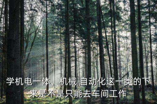 學(xué)機(jī)電一體、機(jī)械 自動(dòng)化這一類的下來是不是只能去車間工作
