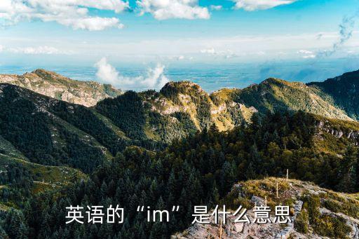 英語的“im”是什么意思
