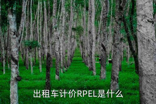 出租車計價RPEL是什么