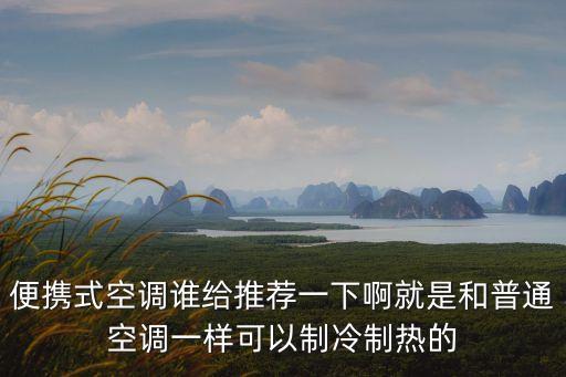 便攜式空調(diào)誰給推薦一下啊就是和普通空調(diào)一樣可以制冷制熱的