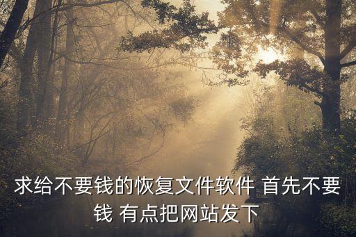 求給不要錢(qián)的恢復(fù)文件軟件 首先不要錢(qián) 有點(diǎn)把網(wǎng)站發(fā)下