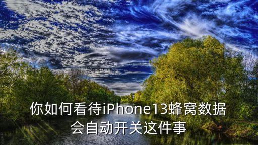 你如何看待iPhone13蜂窩數(shù)據(jù)會自動開關(guān)這件事