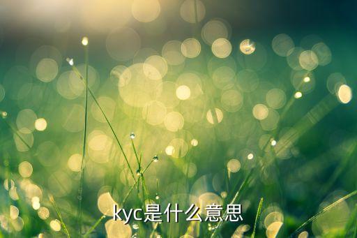kyc，kyc是什么意思