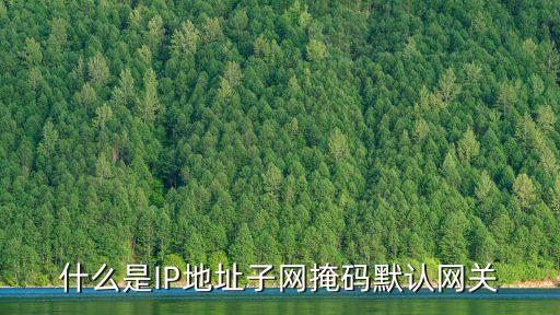 什么是IP地址子網(wǎng)掩碼默認網(wǎng)關(guān)