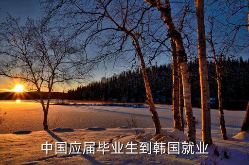 中國應(yīng)屆畢業(yè)生到韓國就業(yè)