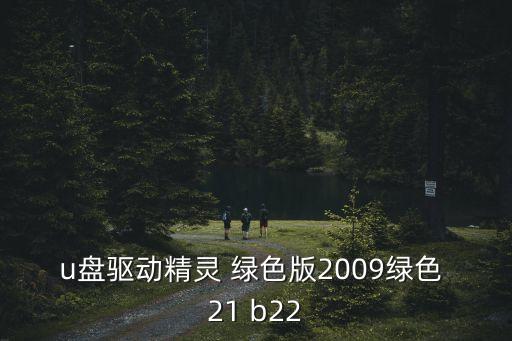 u盤驅(qū)動(dòng)精靈 綠色版2009綠色 21 b22