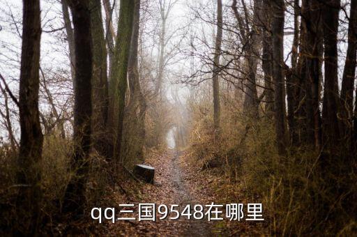qq三國9548在哪里