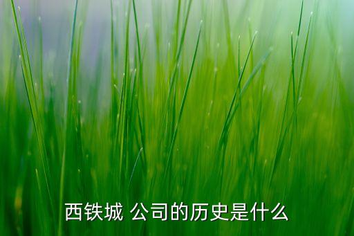 西鐵城 公司的歷史是什么