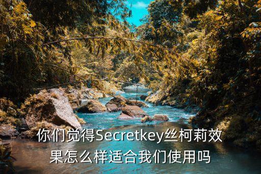 你們覺(jué)得Secretkey絲柯莉效果怎么樣適合我們使用嗎