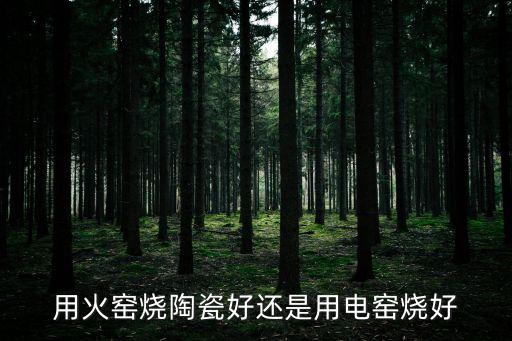 用火窯燒陶瓷好還是用電窯燒好