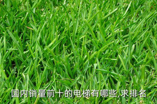 國內(nèi)銷量前十的電梯有哪些,求排名