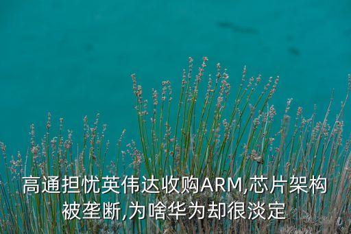 高通擔(dān)憂英偉達(dá)收購(gòu)ARM,芯片架構(gòu)被壟斷,為啥華為卻很淡定