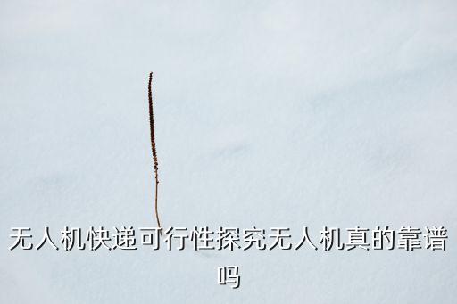 無人機(jī)快遞可行性探究無人機(jī)真的靠譜嗎
