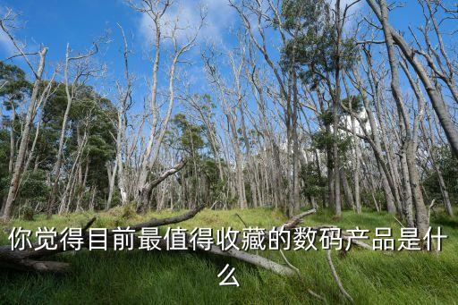 未來數(shù)位