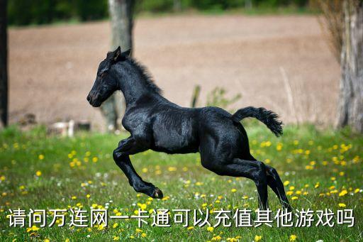 請(qǐng)問萬連網(wǎng)一卡通可以充值其他游戲嗎
