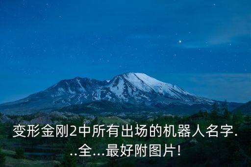 變形金剛2中所有出場(chǎng)的機(jī)器人名字...全...最好附圖片!