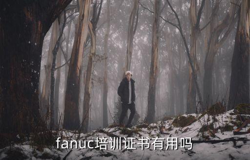 fanuc培訓證書有用嗎