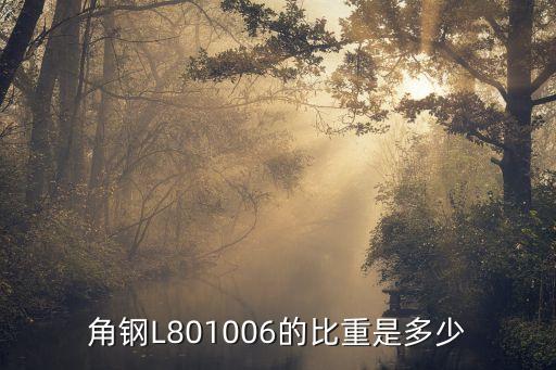角鋼L801006的比重是多少