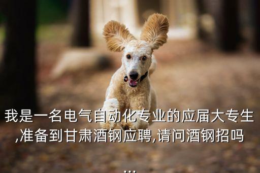 我是一名電氣自動化專業(yè)的應(yīng)屆大專生,準(zhǔn)備到甘肅酒鋼應(yīng)聘,請問酒鋼招嗎...