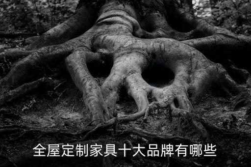 全屋定制家具十大品牌有哪些
