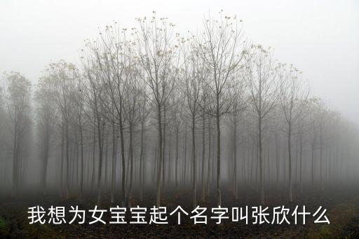 我想為女寶寶起個(gè)名字叫張欣什么