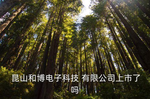  昆山和博電子科技 有限公司上市了嗎