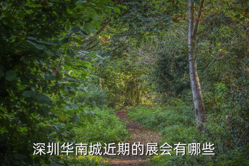 深圳華南城近期的展會有哪些