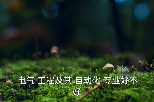  電氣 工程及其 自動(dòng)化 專業(yè)好不好