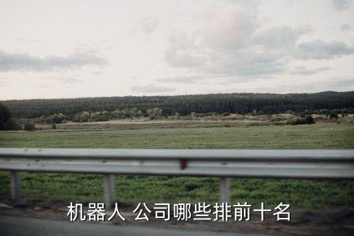  機器人 公司哪些排前十名