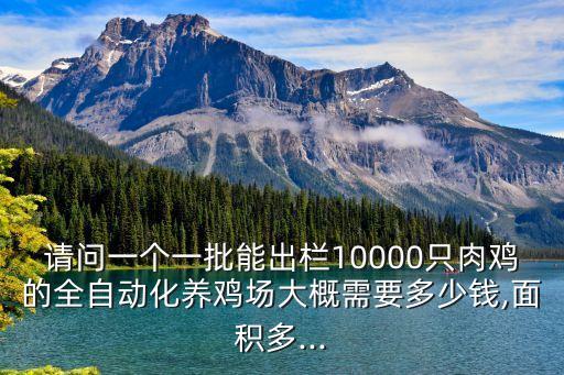 請(qǐng)問一個(gè)一批能出欄10000只肉雞的全自動(dòng)化養(yǎng)雞場(chǎng)大概需要多少錢,面積多...
