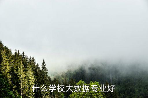 什么學(xué)校大數(shù)據(jù)專業(yè)好