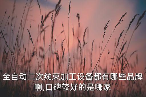 全自動(dòng)二次線束加工設(shè)備都有哪些品牌啊,口碑較好的是哪家