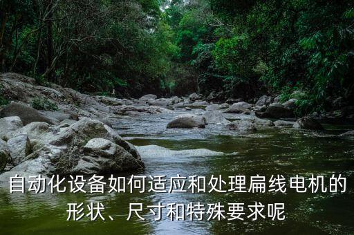 自動化設(shè)備如何適應(yīng)和處理扁線電機的形狀、尺寸和特殊要求呢
