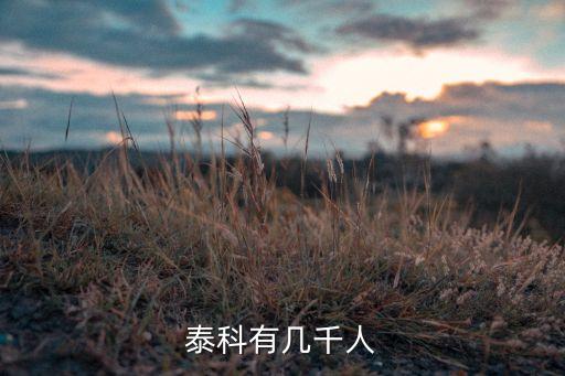泰科有幾千人