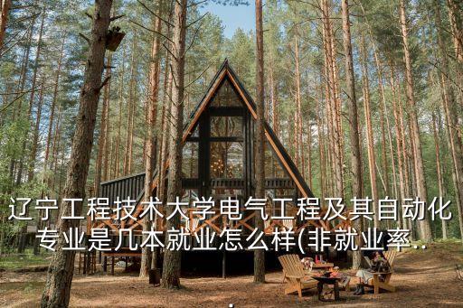 遼寧格瑞自動化設備招聘,沈陽電氣工程及其自動化專業(yè)怎樣?