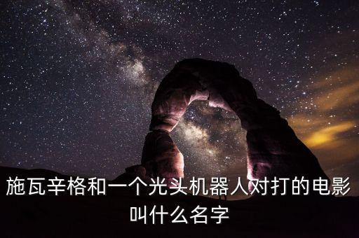 施瓦辛格和一個(gè)光頭機(jī)器人對(duì)打的電影叫什么名字