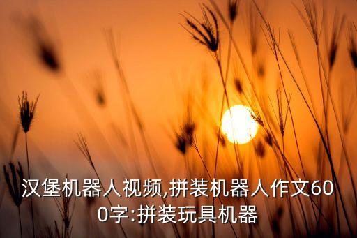 玩具漢堡機(jī)器人視頻,拼裝機(jī)器人作文600字:拼裝玩具機(jī)器