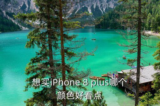 想買(mǎi)iPhone 8 plus哪個(gè)顏色好看點(diǎn)