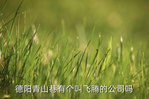 飛騰公司，飛騰股份有限公司