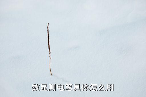 數(shù)顯測(cè)電筆具體怎么用