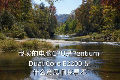 我買的電腦CPU是Pentium Dual Core E2200 是什么意思啊我看不