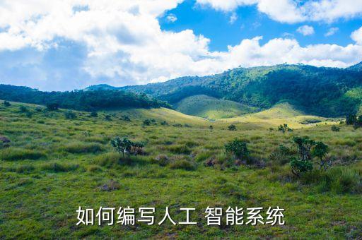 如何編寫人工 智能系統(tǒng)