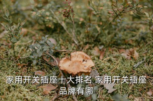 家用開關(guān)插座十大排名 家用開關(guān)插座品牌有哪