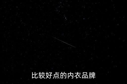 大數(shù)據(jù) 內(nèi)衣,女士內(nèi)衣十大品牌排行榜:安德拉內(nèi)衣上榜
