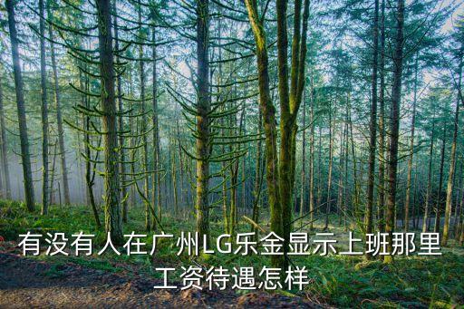 有沒有人在廣州LG樂金顯示上班那里工資待遇怎樣