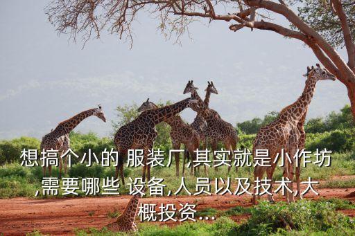 想搞個(gè)小的 服裝廠,其實(shí)就是小作坊,需要哪些 設(shè)備,人員以及技術(shù),大概投資...