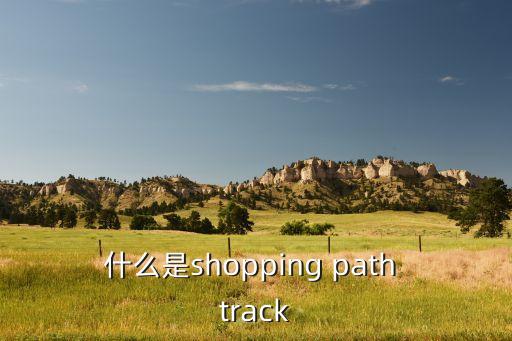 什么是shopping path track